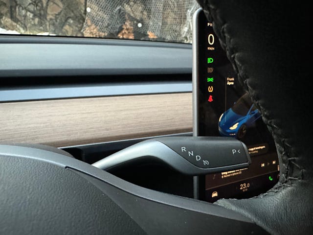 2021 TESLA MODEL 3 - 19