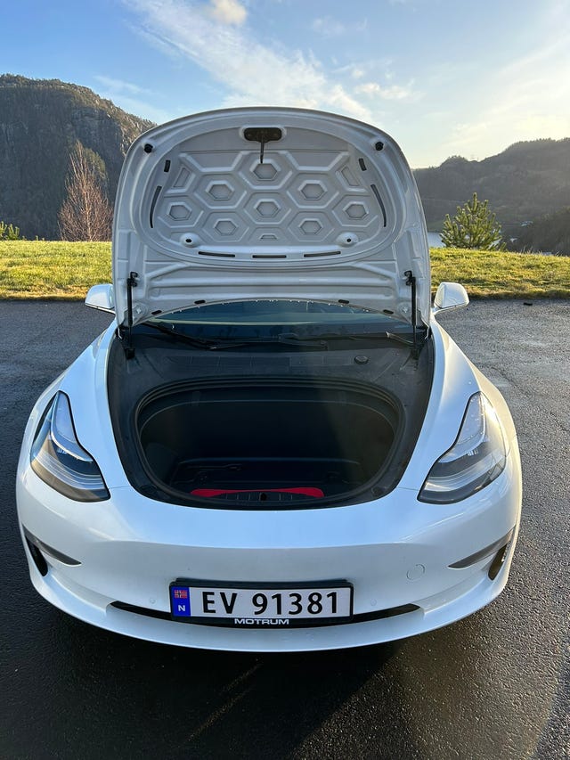 2019 TESLA MODEL 3 - 8