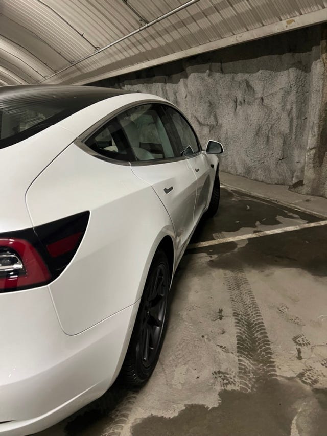 2019 TESLA MODEL 3 - 8
