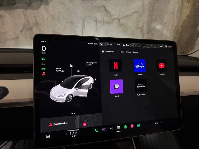 2019 TESLA MODEL 3 - 31