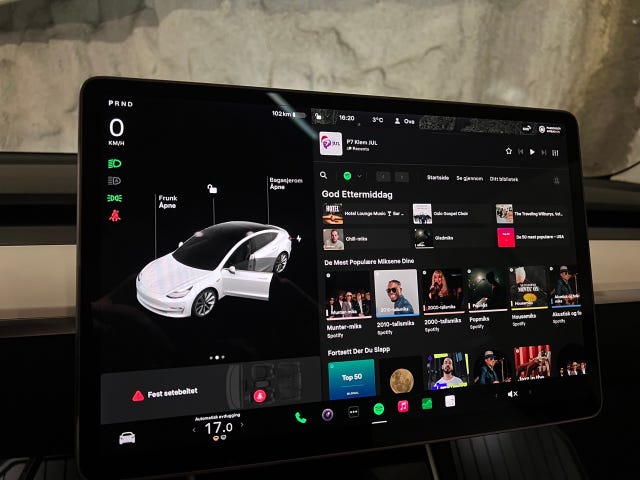 2019 TESLA MODEL 3 - 30