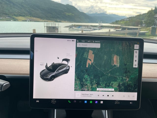 2019 TESLA MODEL 3 - 16