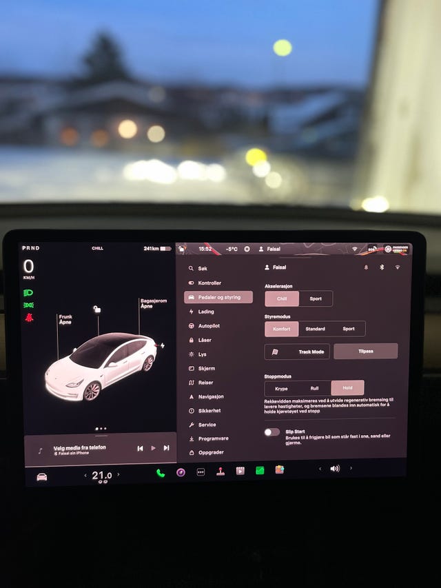 2021 TESLA MODEL 3 - 25