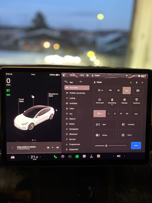 2021 TESLA MODEL 3 - 20