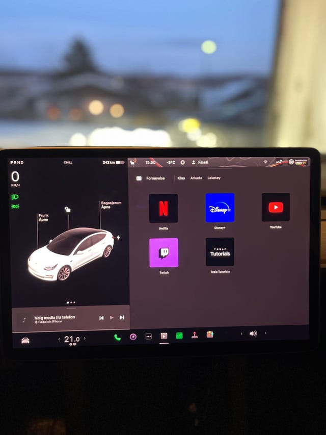 2021 TESLA MODEL 3 - 23