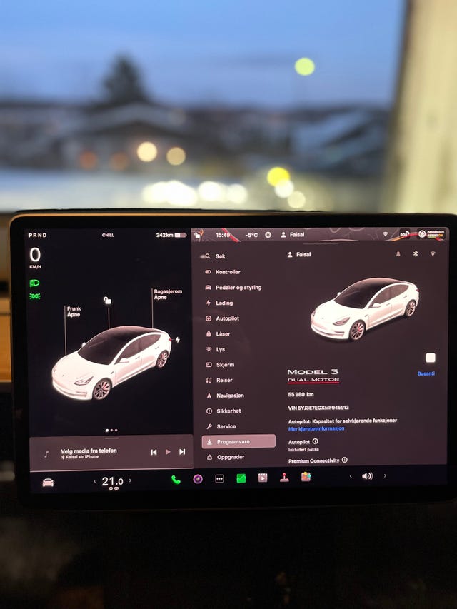 2021 TESLA MODEL 3 - 19