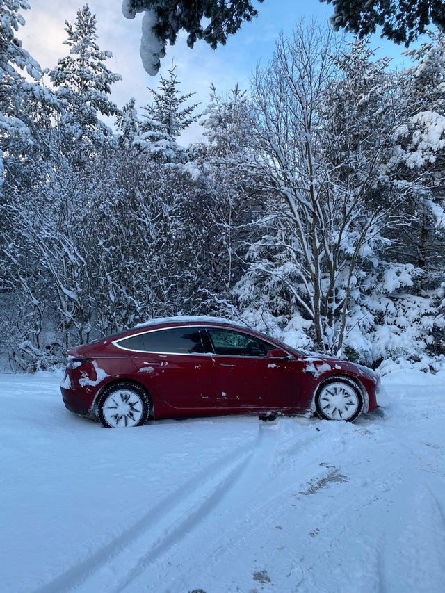 2019 TESLA MODEL 3 - 8