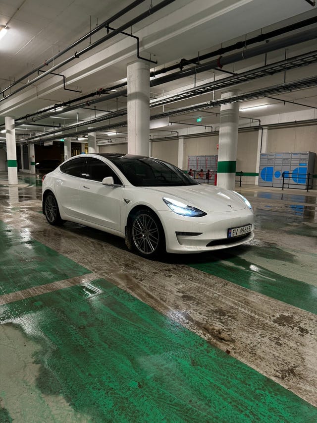 2019 TESLA MODEL 3 - 8