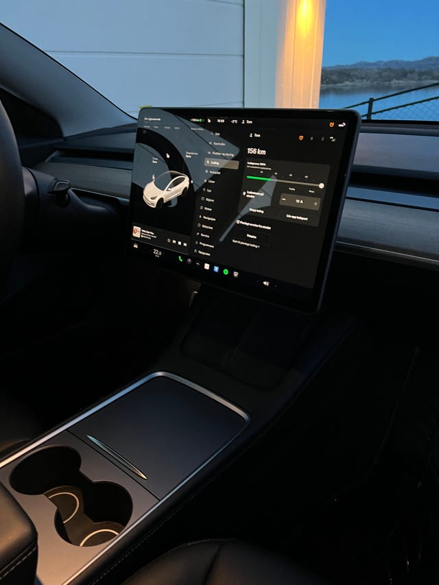 2021 TESLA MODEL 3 - 12