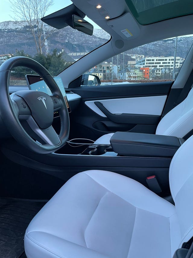 2019 TESLA MODEL 3 - 8
