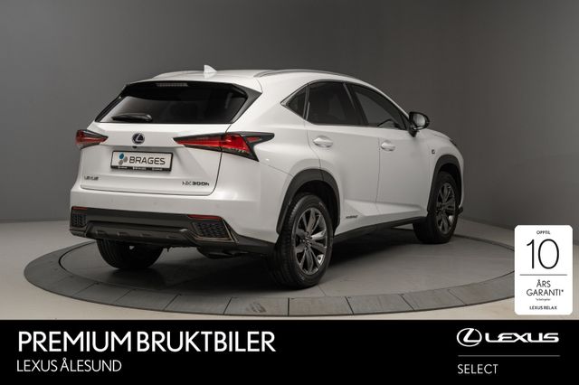 JTJBJRBZ605013115 2021 LEXUS NX 300H-3