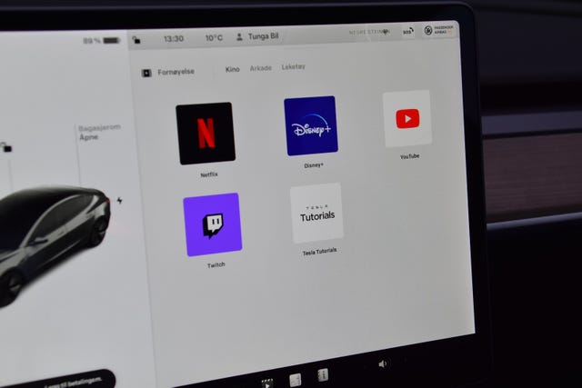 2021 TESLA MODEL 3 - 29