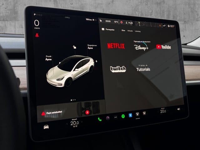 2021 TESLA MODEL 3 - 13