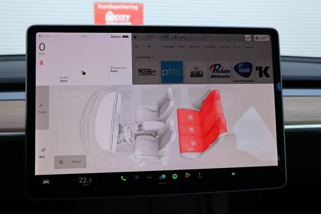 2021 TESLA MODEL 3 - 20