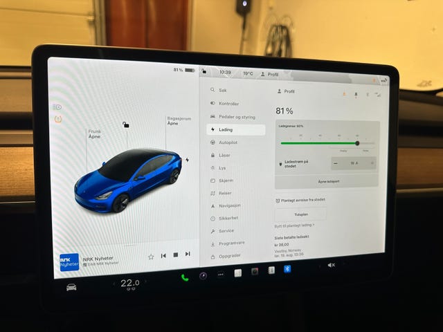 2021 TESLA MODEL 3 - 15