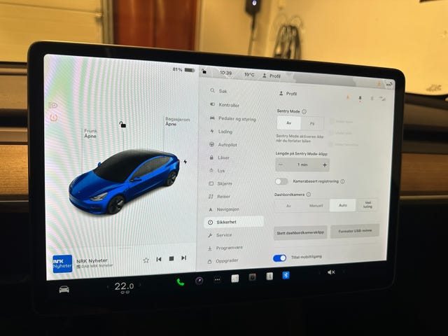2021 TESLA MODEL 3 - 18