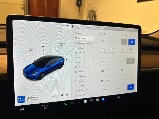2021 TESLA MODEL 3 - 13