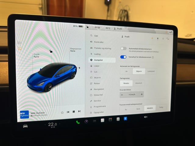 2021 TESLA MODEL 3 - 17