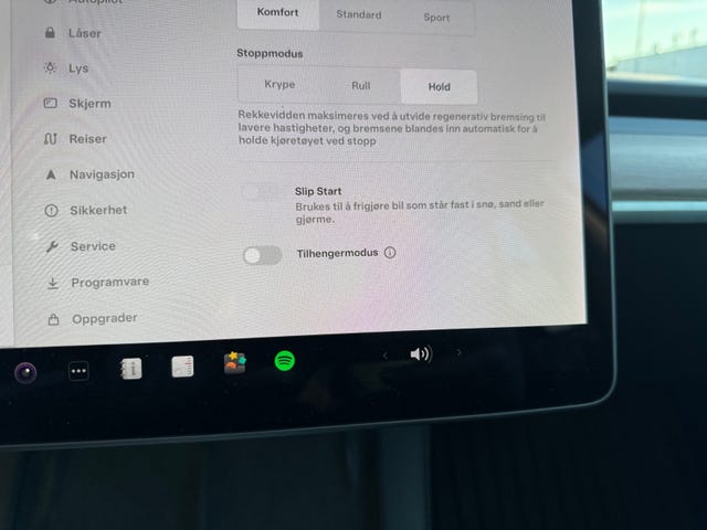 2021 TESLA MODEL 3 - 12