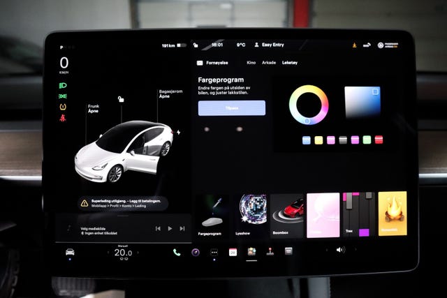 2021 TESLA MODEL 3 - 33