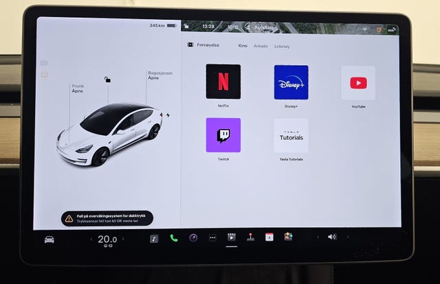 2021 TESLA MODEL 3 - 25