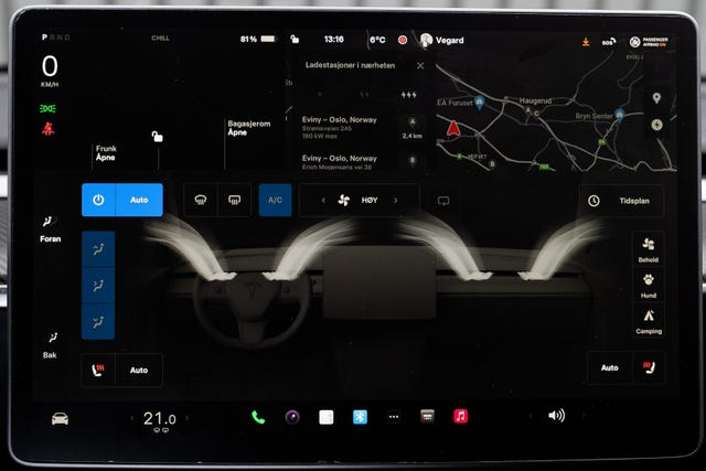 2021 TESLA MODEL 3 - 36