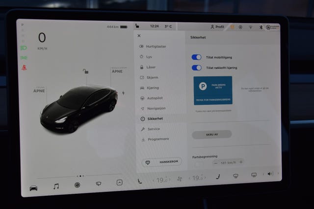2019 TESLA MODEL 3 - 31