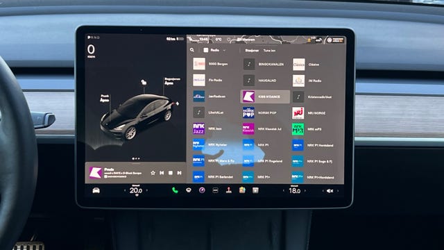 2021 TESLA MODEL 3 - 17