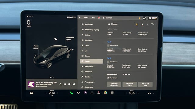 2021 TESLA MODEL 3 - 19