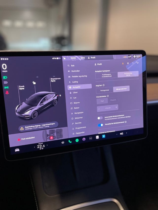 2021 TESLA MODEL 3 - 17