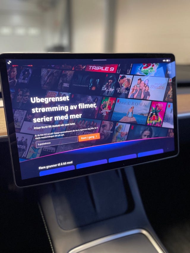 2021 TESLA MODEL 3 - 24
