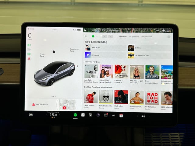 2021 TESLA MODEL 3 - 19