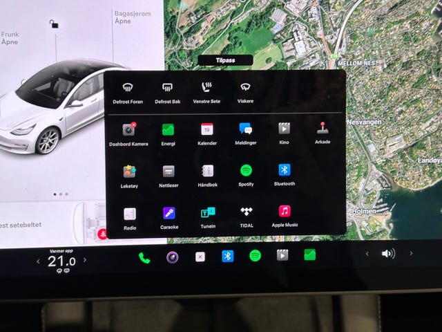 2021 TESLA MODEL 3 - 19