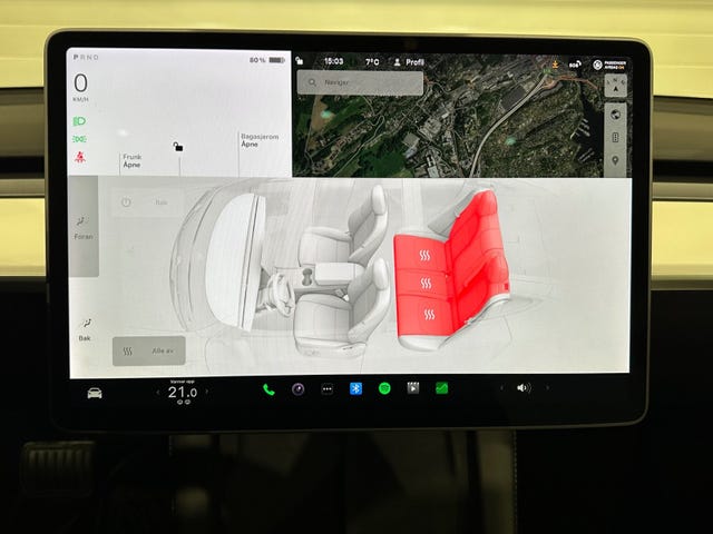 2021 TESLA MODEL 3 - 20