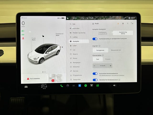 2021 TESLA MODEL 3 - 25