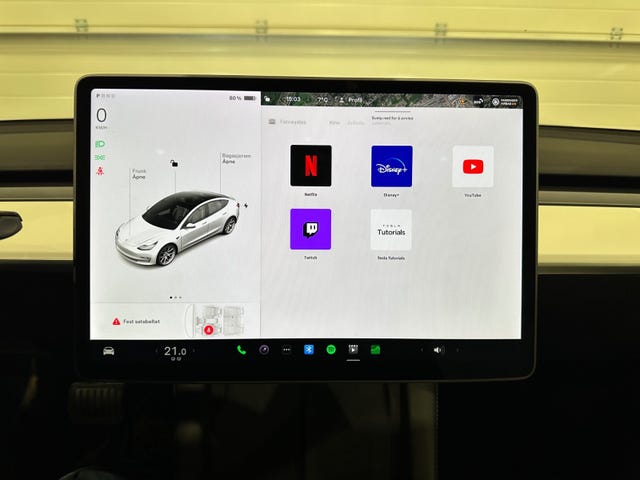 2021 TESLA MODEL 3 - 22