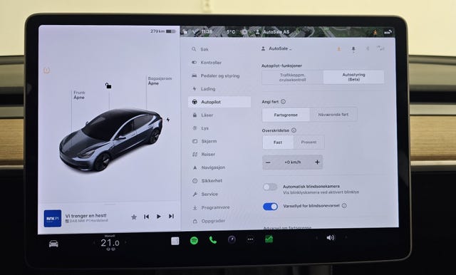 2021 TESLA MODEL 3 - 18