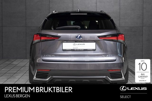 JTJBJRBZ802094913 2018 LEXUS NX 300H-3