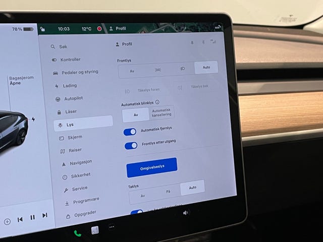 2021 TESLA MODEL 3 - 17