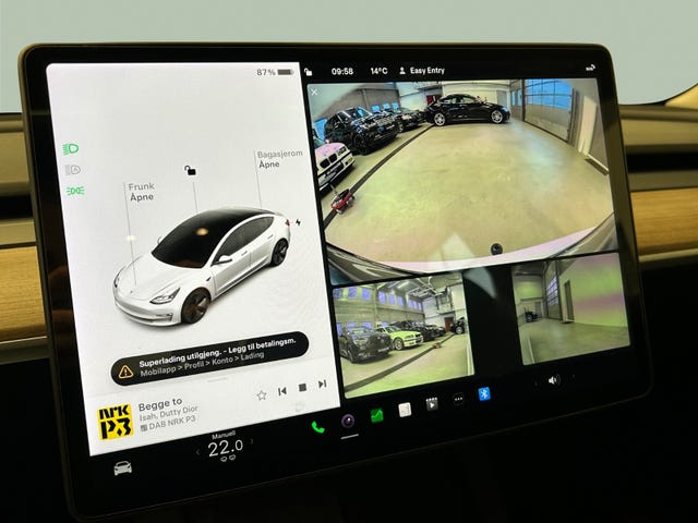 2021 TESLA MODEL 3 - 25