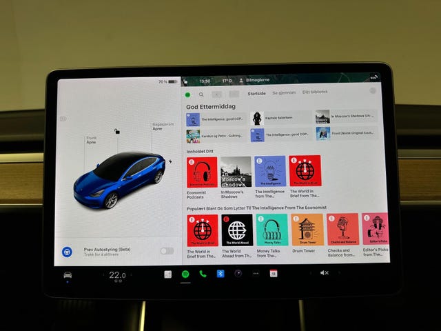 2019 TESLA MODEL 3 - 22
