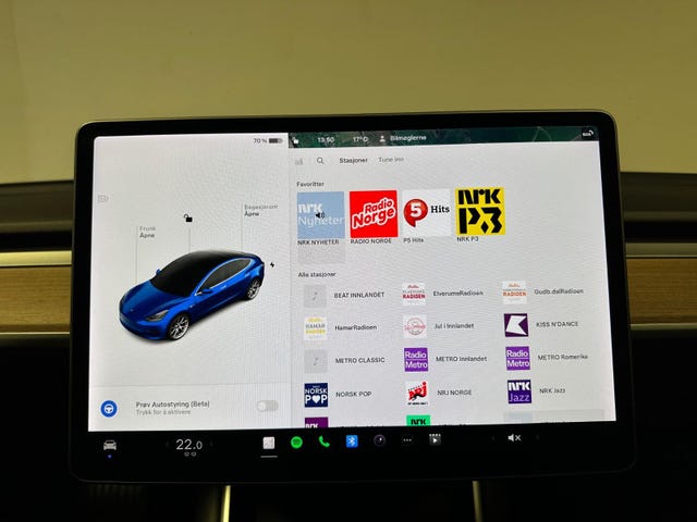 2019 TESLA MODEL 3 - 21