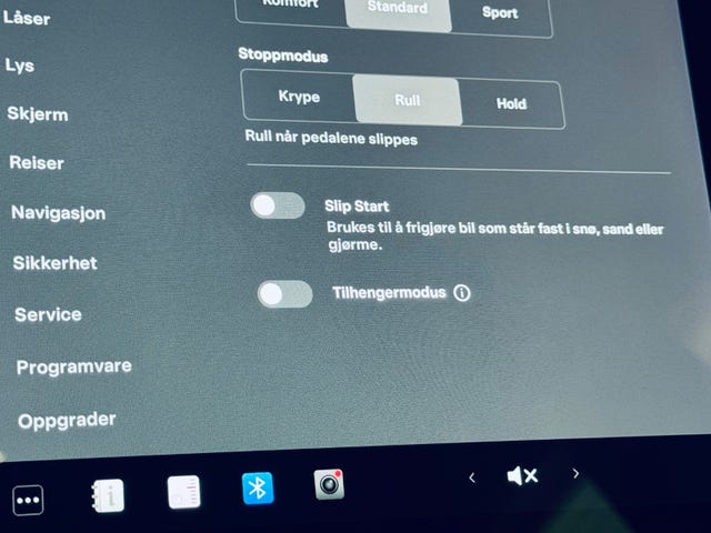 2021 TESLA MODEL 3 - 19