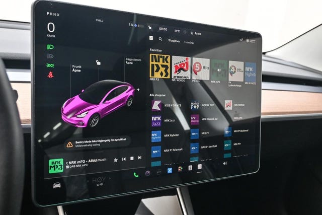 2019 TESLA MODEL 3 - 24