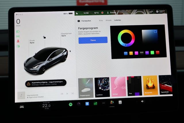 2021 TESLA MODEL 3 - 16
