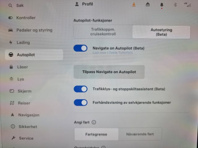 2019 TESLA MODEL 3 - 13