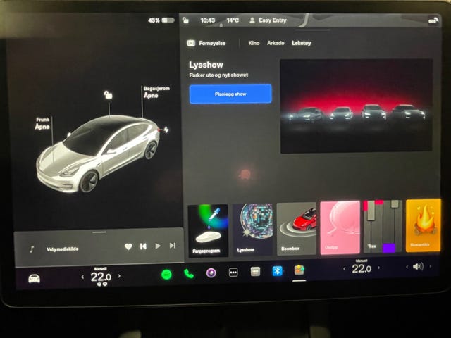 2021 TESLA MODEL 3 - 17
