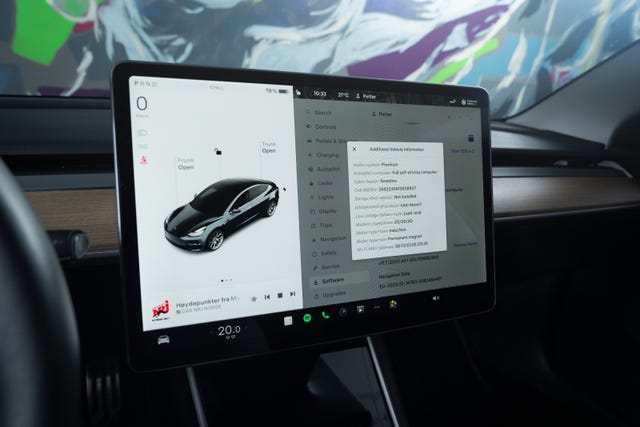 2019 TESLA MODEL 3 - 20