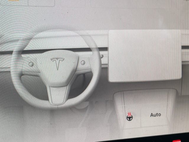 2021 TESLA MODEL 3 - 10