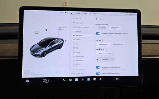 2021 TESLA MODEL 3 - 19